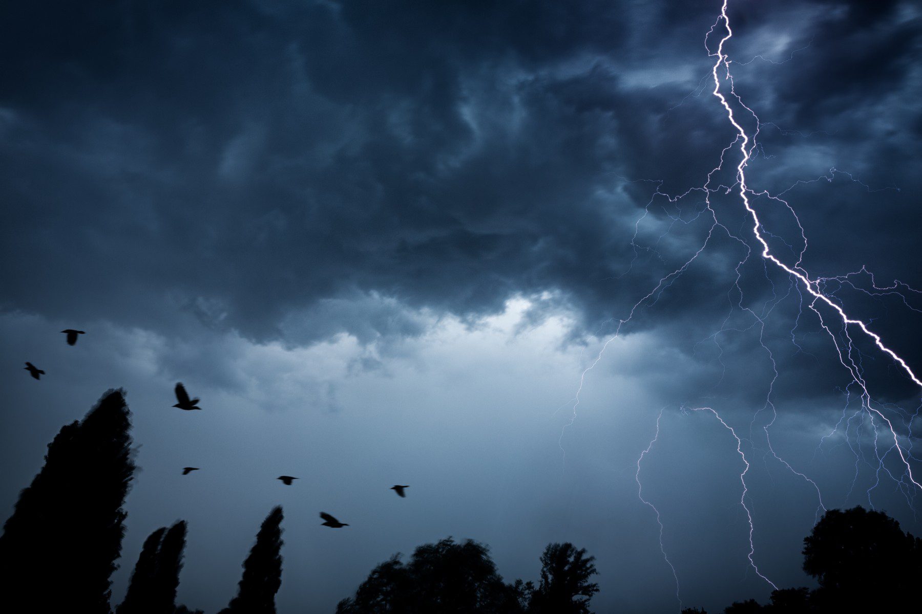 How to protect your HVAC equipment in a hurricane or severe storm.