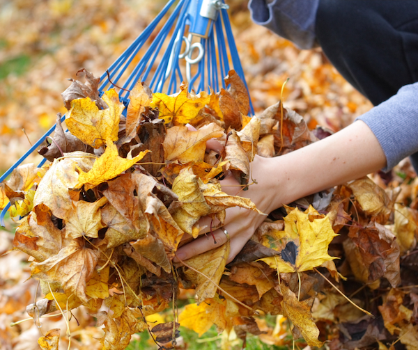 Raking your leaves (or blowing them) consistently will help prevent unwanted yard debris from building up in and around your condenser. 